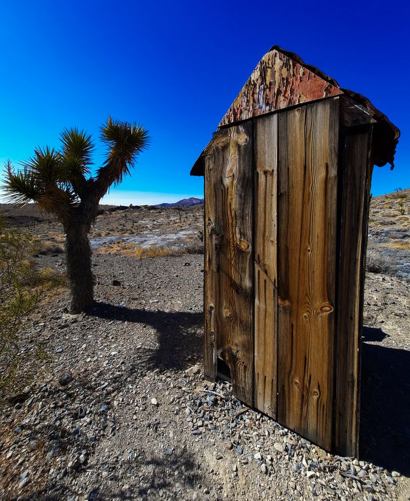 Weathered wooden outhouse standing beside a Joshua tree in an open desert landscape